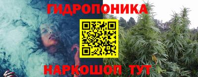 гидра Аргун