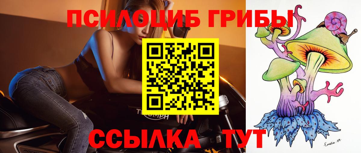 Псилоцибиновые грибы мухоморы  Галлюциногенные грибы GOLDEN TEACHER  Вход с VPN  как найти закладки  Березники 