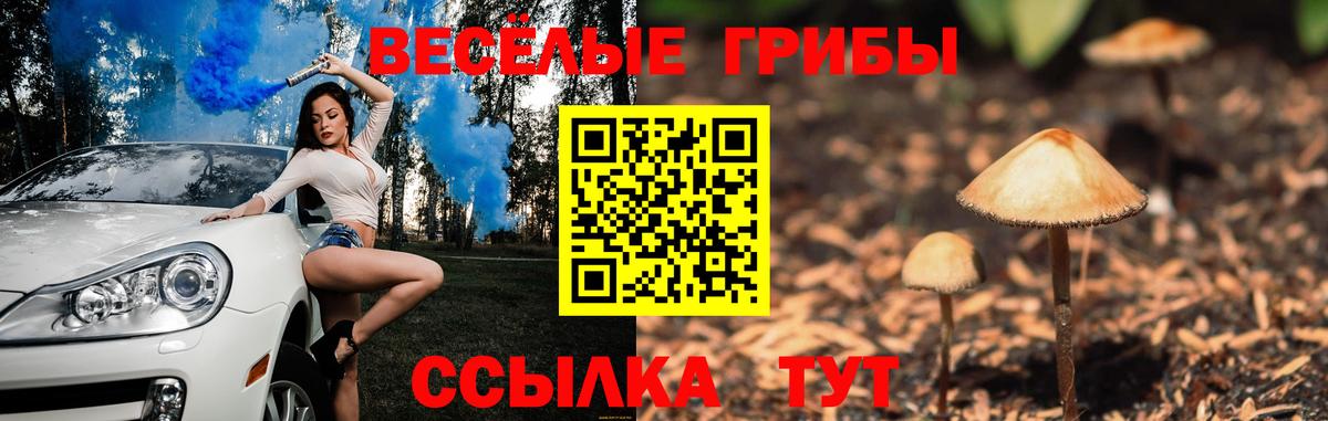 Галлюциногенные грибы MAGIC MUSHROOMS  Галлюциногенные грибы GOLDEN TEACHER  закладка  Березники 