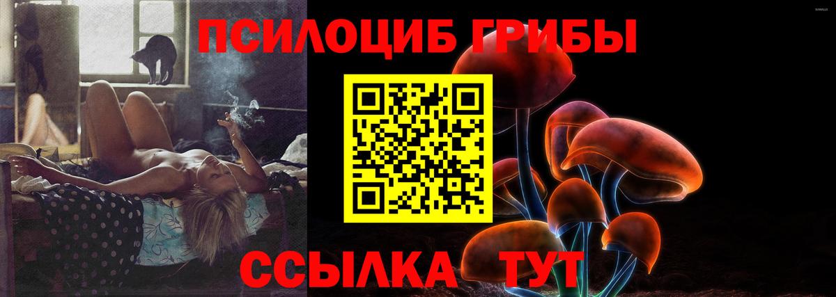 Псилоцибиновые грибы прущие грибы Березники